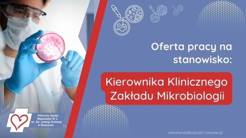 Oferta pracy na stanowisko kier mikro